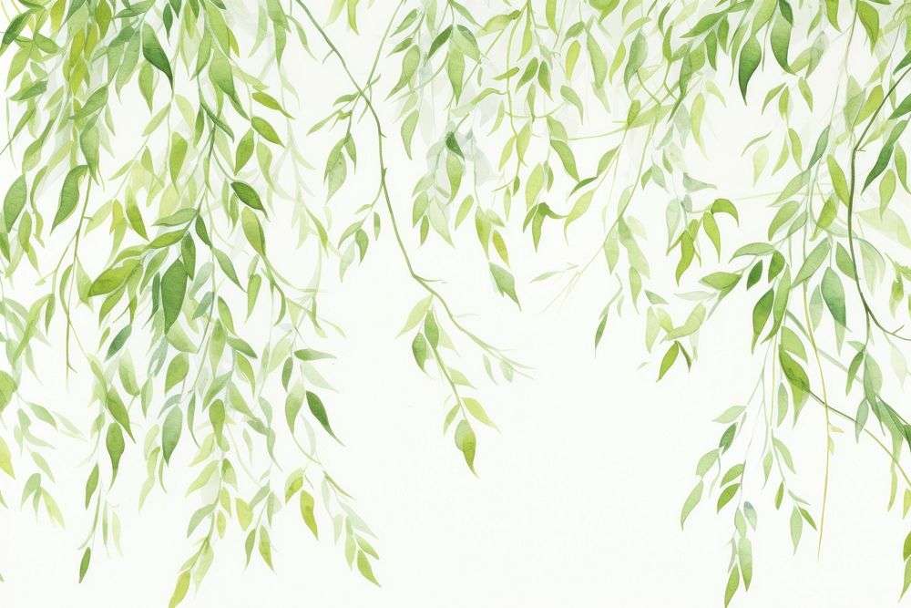 Background willow tree backgrounds plant leaf.