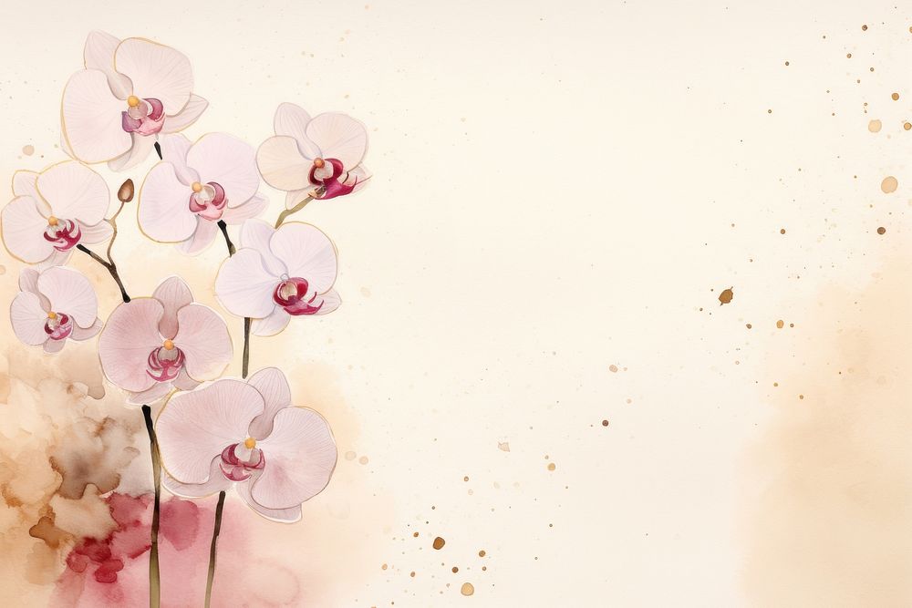 Moth Orchid watercolor minimal background flower orchid plant.