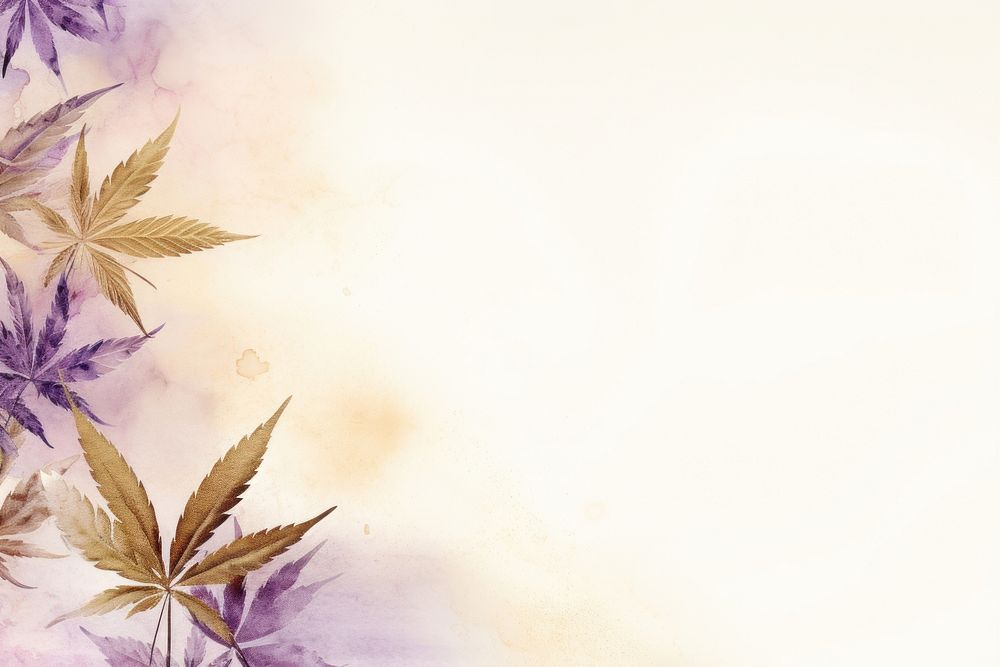 Cannabis watercolor minimal background backgrounds purple plant.