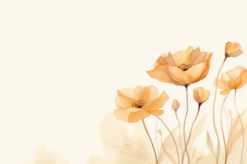 California Poppy watercolor minimal background backgrounds painting pattern.
