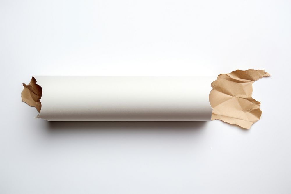 Rolled paper white white background simplicity.