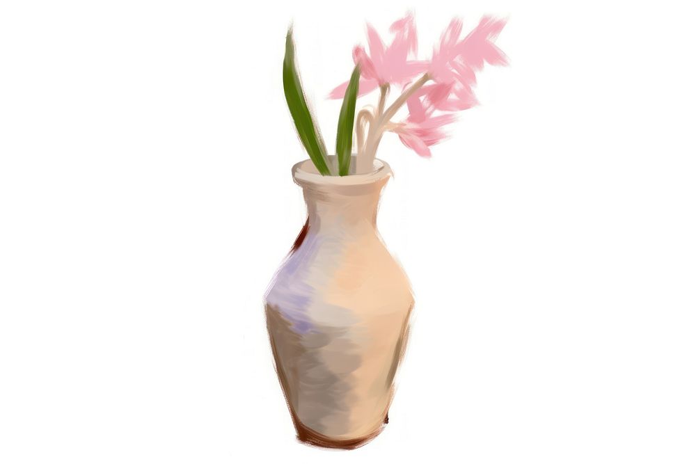 A vase flower plant white background.