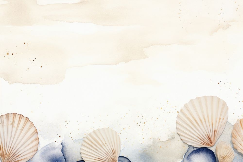 Seashells watercolor minimal background backgrounds seashell invertebrate.