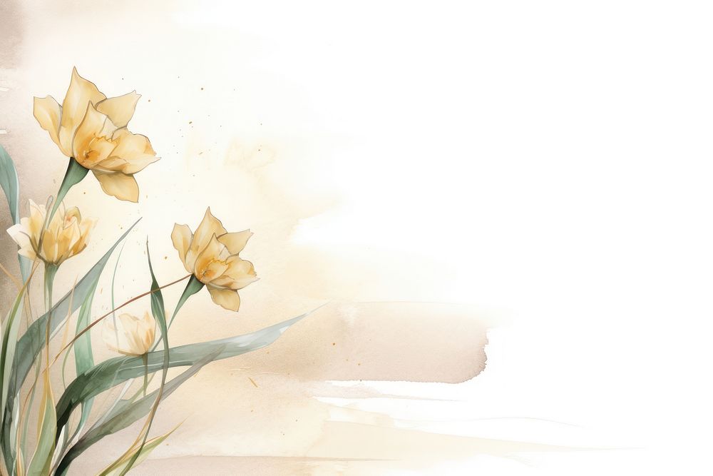 Daffodil watercolor minimal background painting daffodil flower.