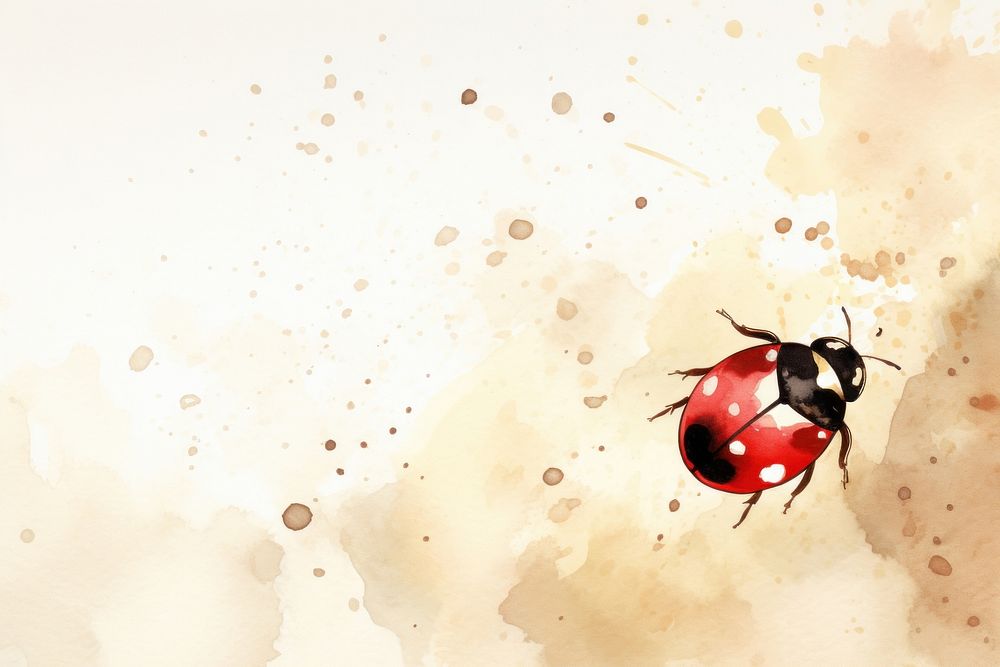 Ladybug watercolor minimal background ladybug insect animal.