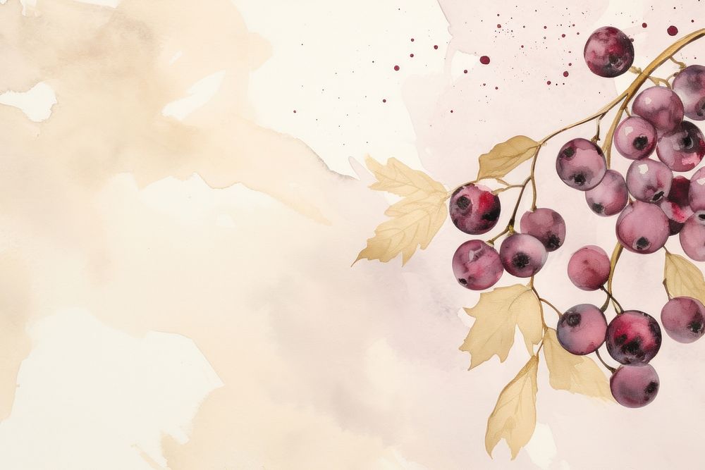 Frozen berries watercolor minimal background painting backgrounds grapes.