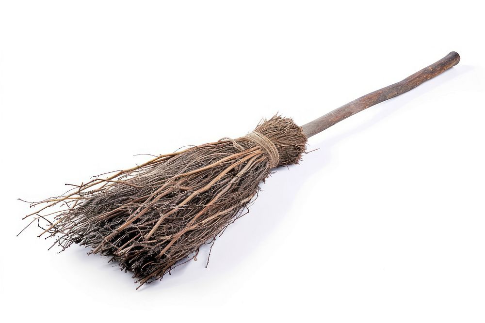 Broom sweeping branch plant.