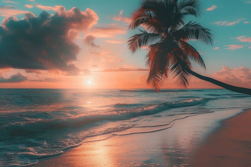 Beach outdoors tropical horizon.