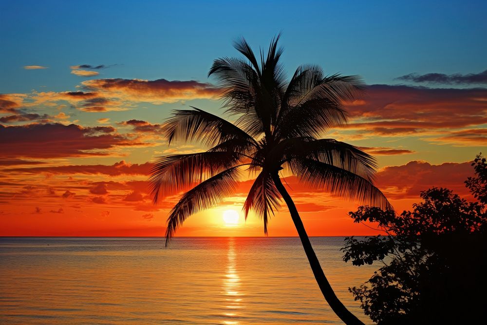 Sunset tropical outdoors horizon tropics.