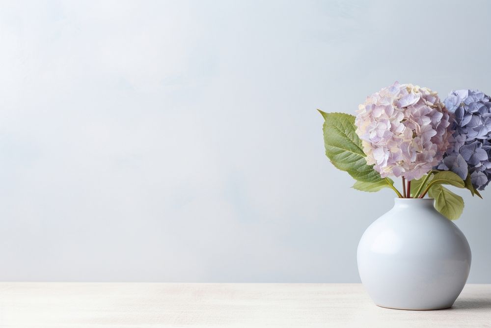 Stoneware vase hydrangea flower plant.