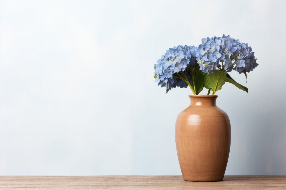Terracotta vase hydrangea flower plant.