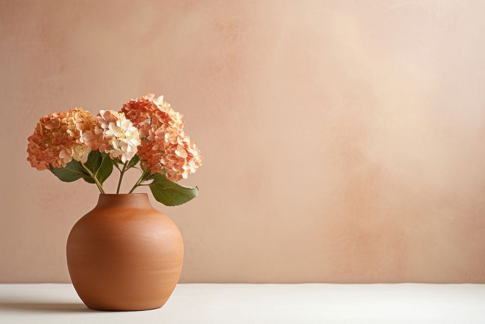 Terracotta vase flower plant decoration.