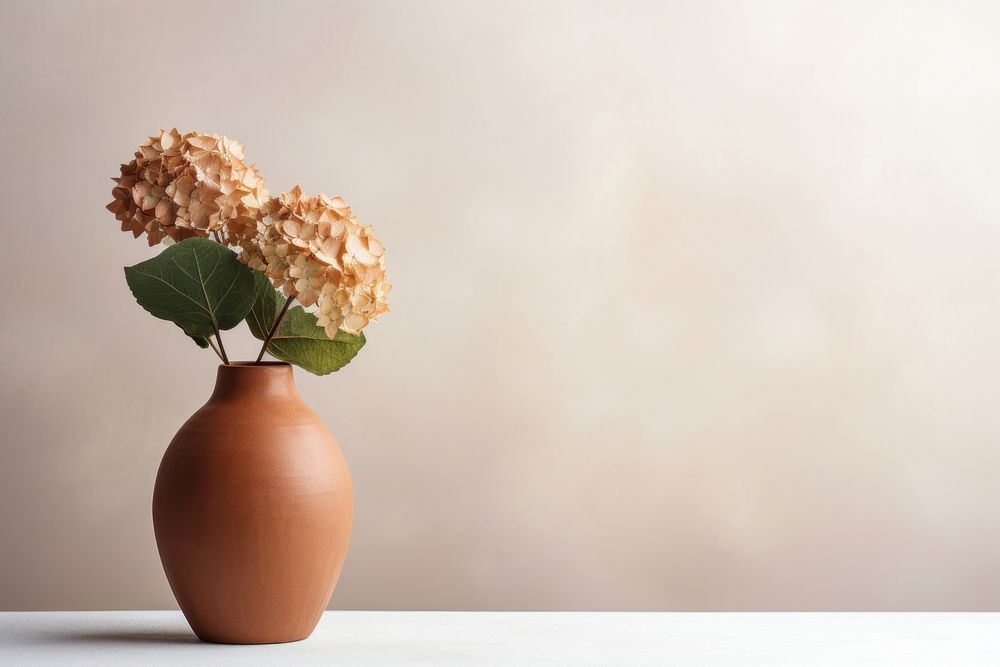Terracotta vase flower plant art.
