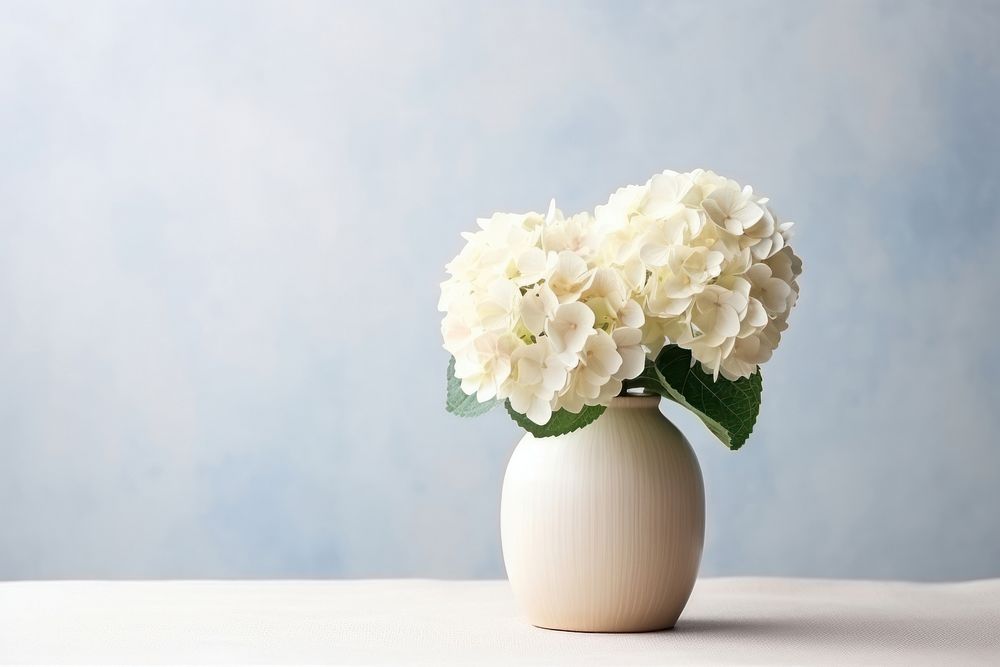 Stoneware vase hydrangea flower plant.