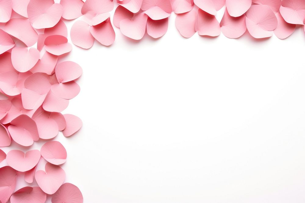 Rose petals floral border backgrounds flower plant.