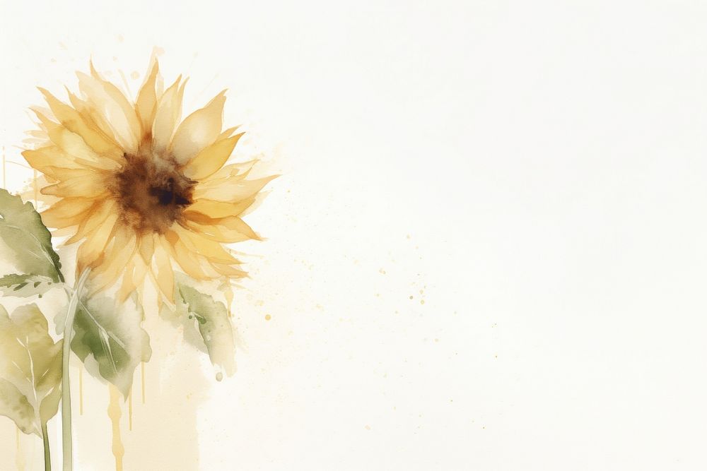 Sunflower watercolor minimal background sunflower backgrounds painting.