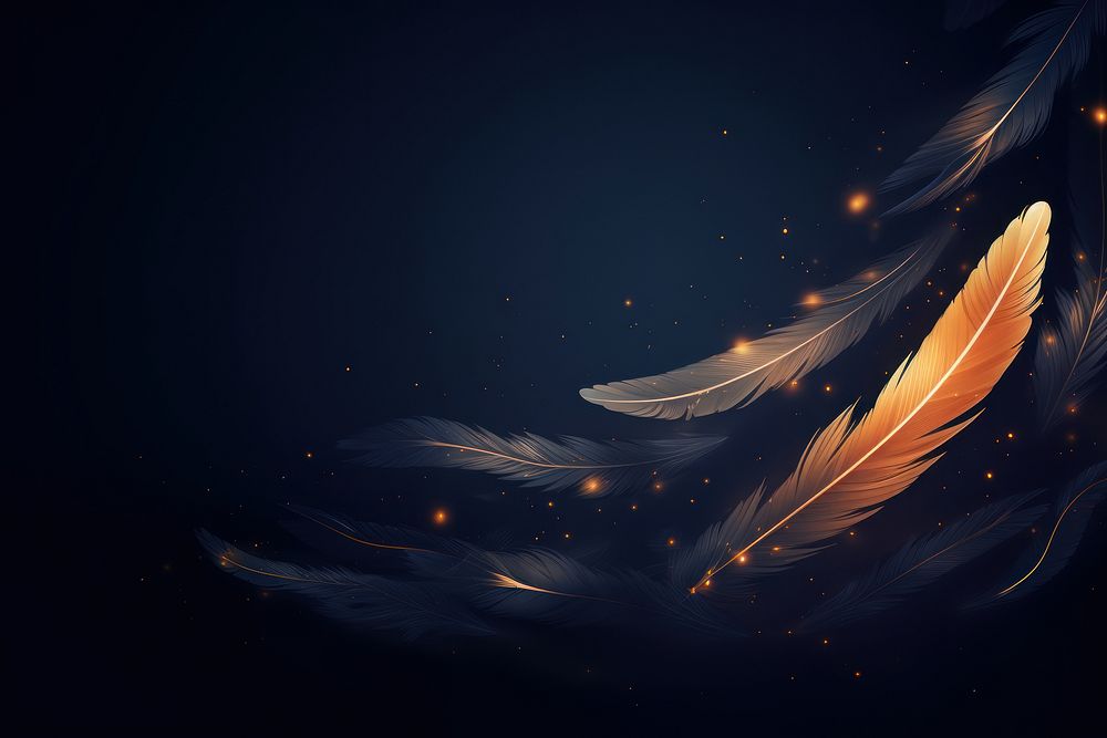 Feathers dark background backgrounds abstract night.