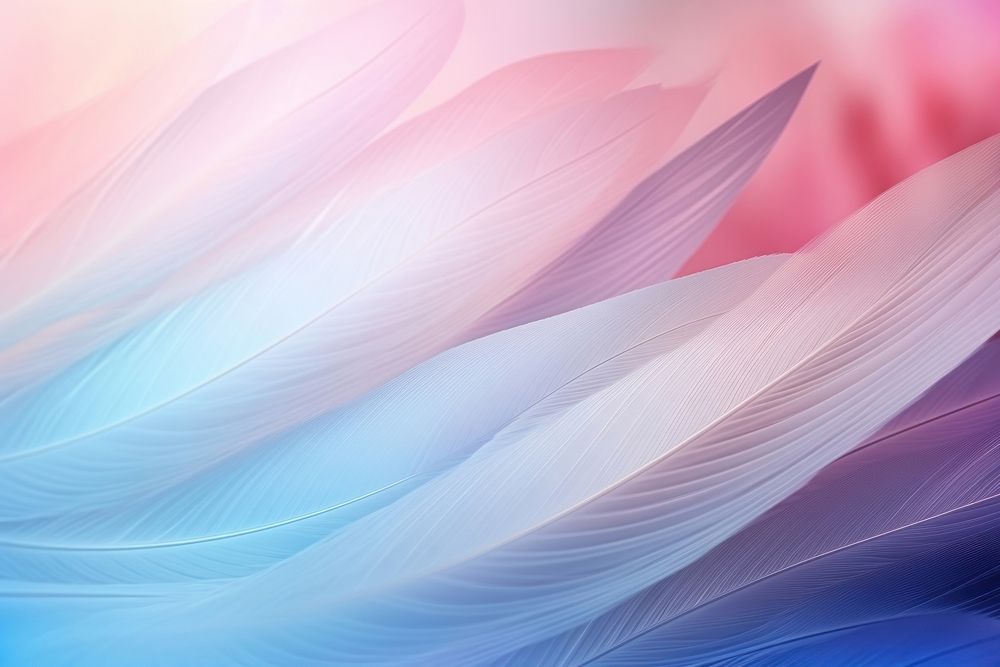 Feathers pastel background backgrounds abstract pattern.