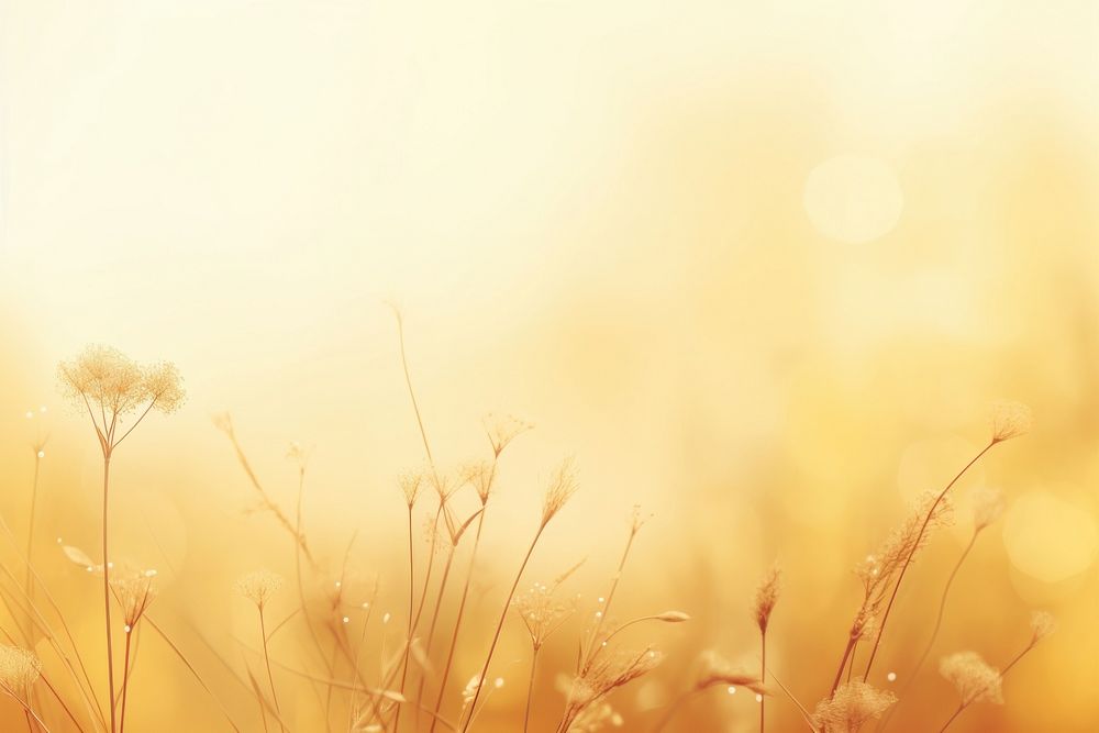 Grasses yellow pastel background backgrounds sunlight outdoors.