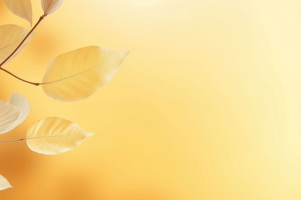 Leaves yellow pastel background backgrounds sunlight abstract.