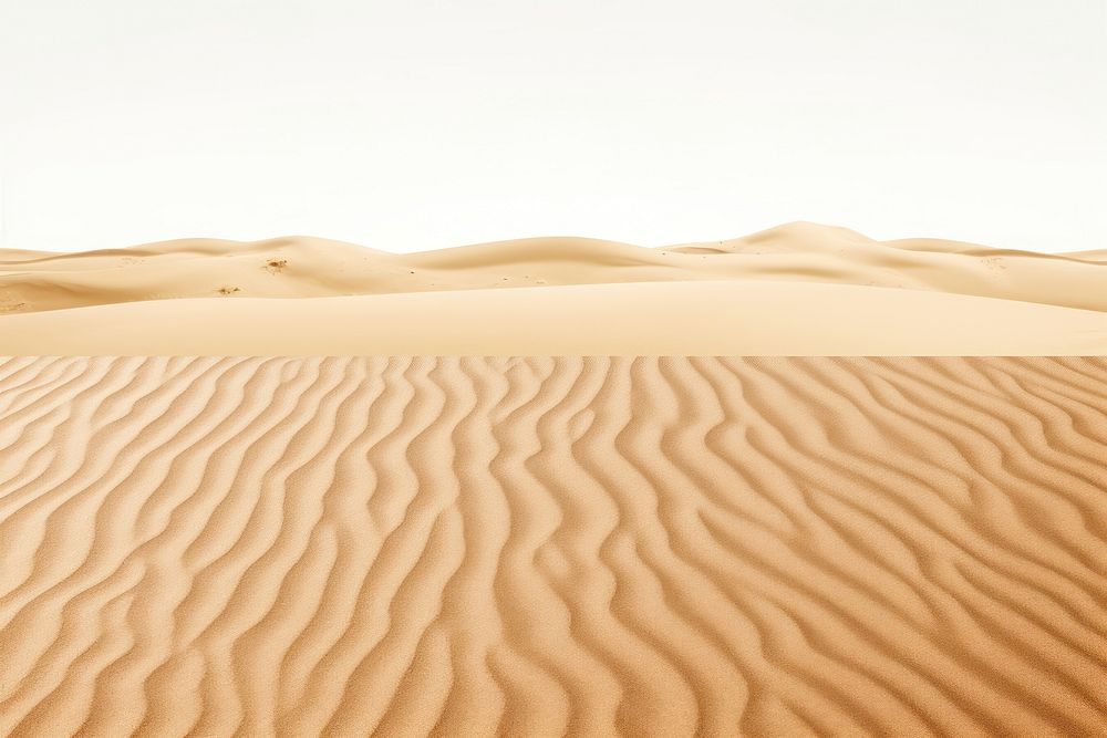 Sand of a beach or a desert backgrounds outdoors horizon.