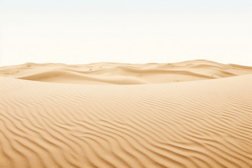Sand of a beach or a desert backgrounds outdoors nature.