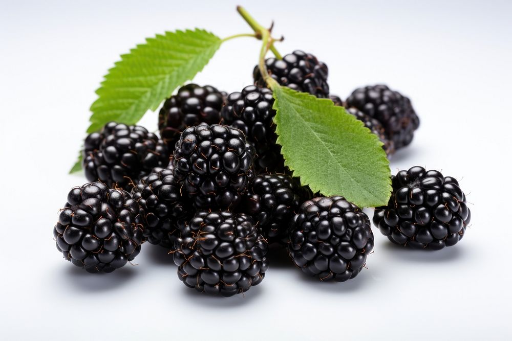 Blackberries blackberry fruit plant.