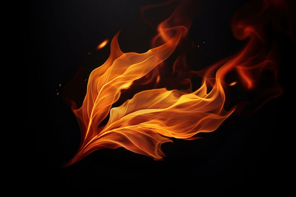 PNG Leaf fire backgrounds flame.