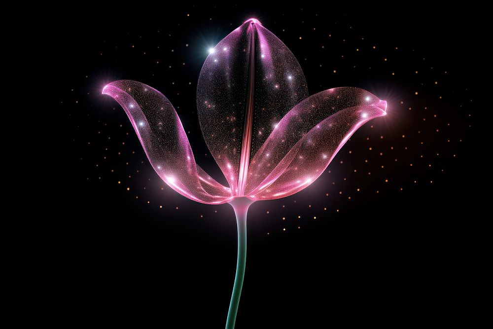 Tulip shape sparkle light glitter outdoors nature flower.