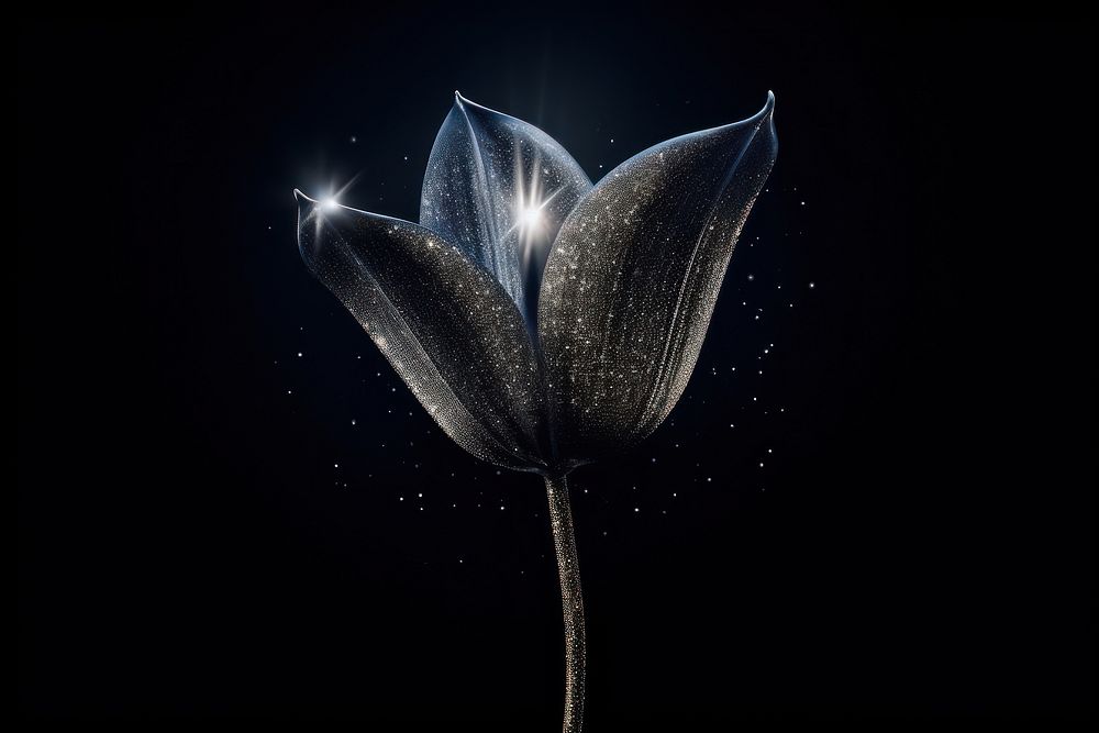 Tulip shape sparkle light glitter nature flower plant.