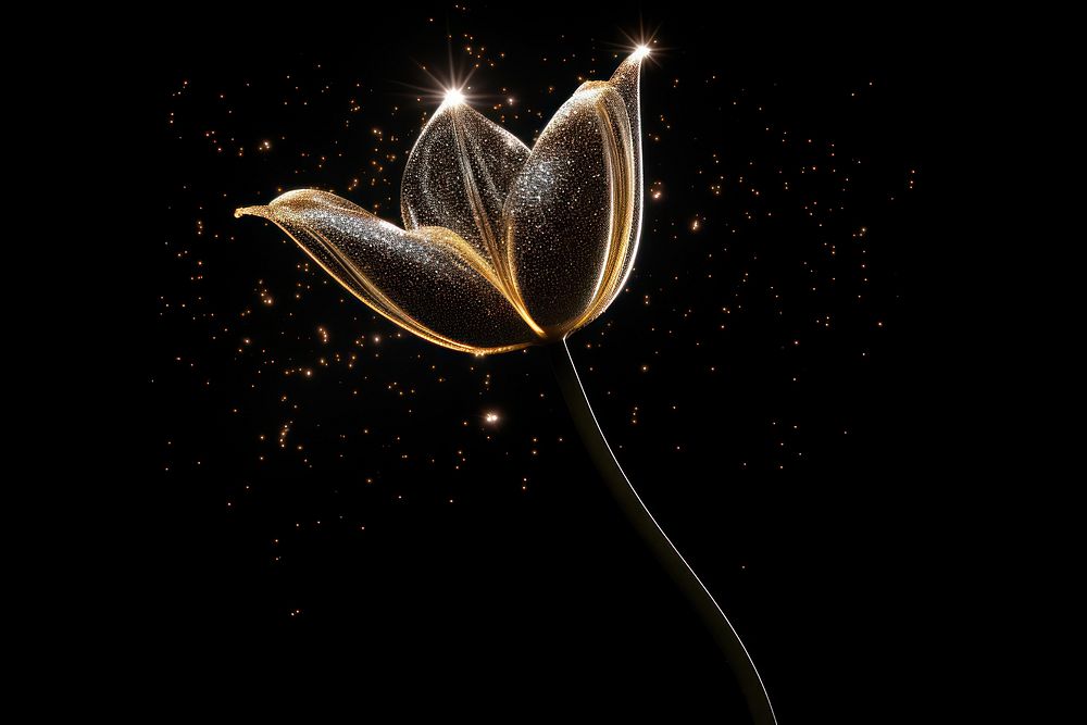 Tulip shape sparkle light glitter fireworks outdoors nature.