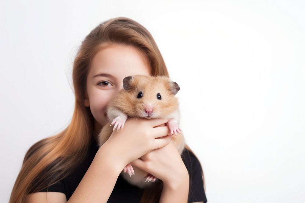 Hamster portrait mammal animal.