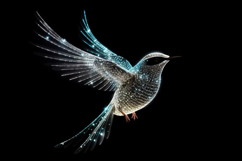Bird shape sparkle light glitter hummingbird animal flying.