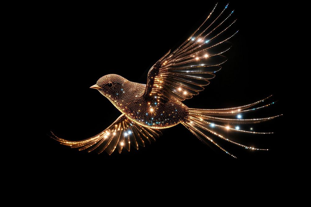 Bird shape sparkle light glitter animal flying nature.