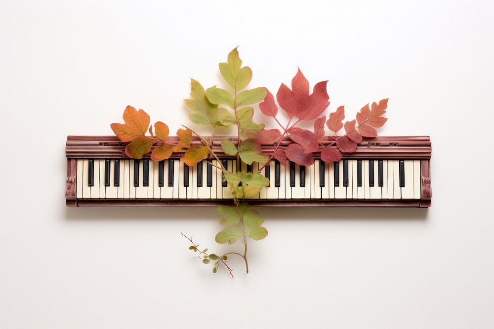 Piano keyboard plant leaf.