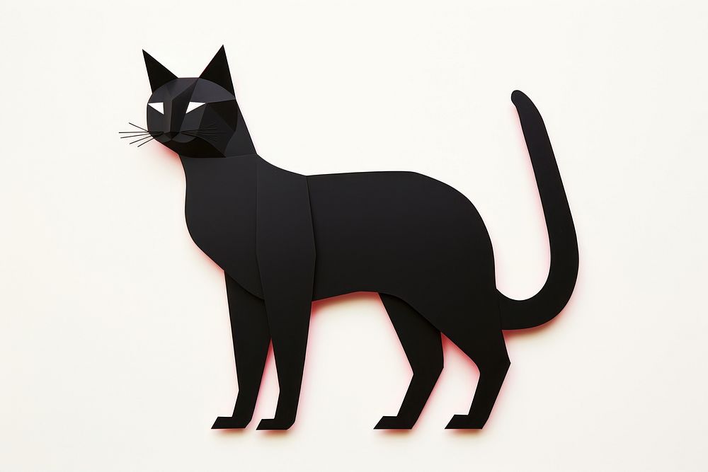 Black cat animal mammal pet.