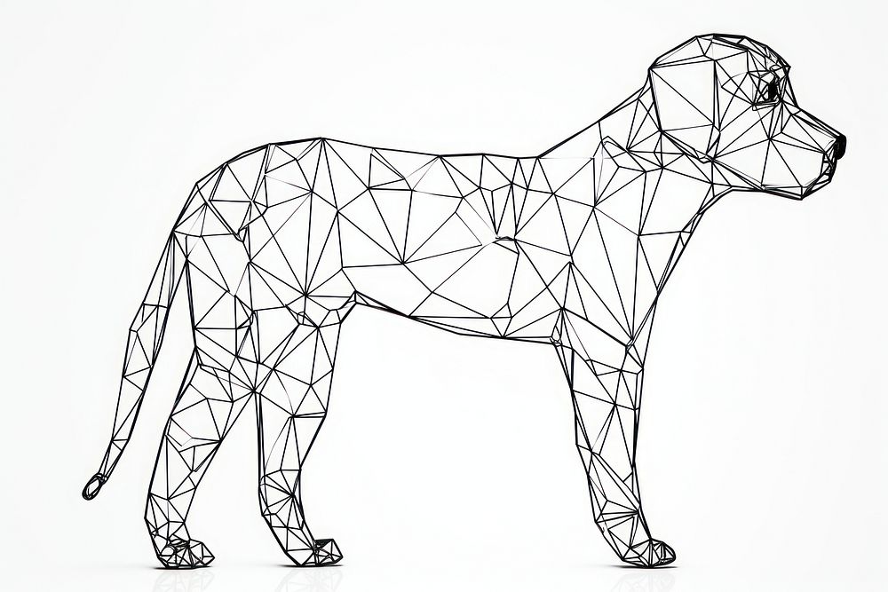 Dog sketch drawing mammal.