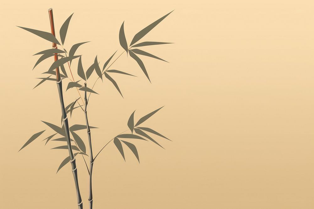 Bamboo backgrounds plant branch.