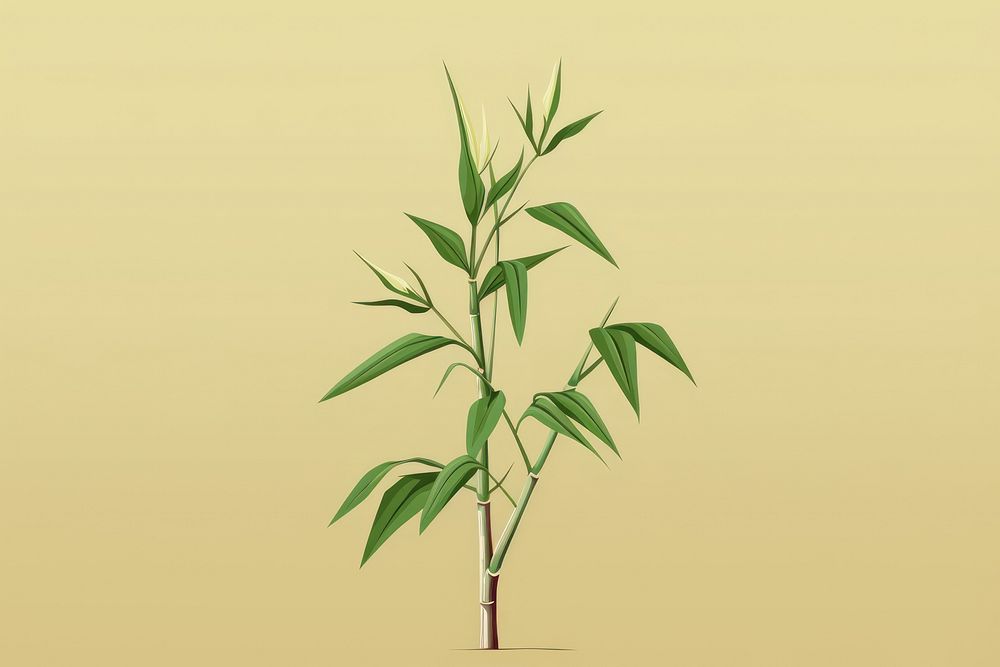 Bamboo plant cannabis branch.