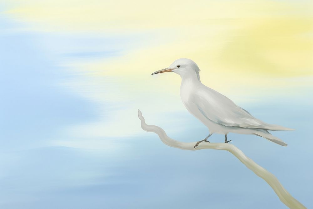 Painting of bird seagull animal beak.