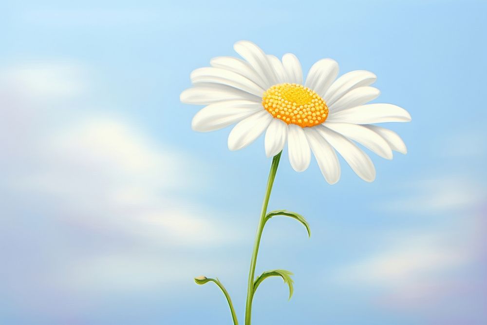 Painting of daisy outdoors flower petal.