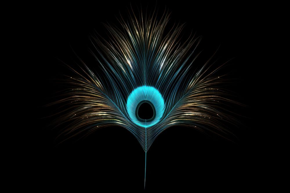Peacock shape sparkle light glitter sparks black background illuminated.