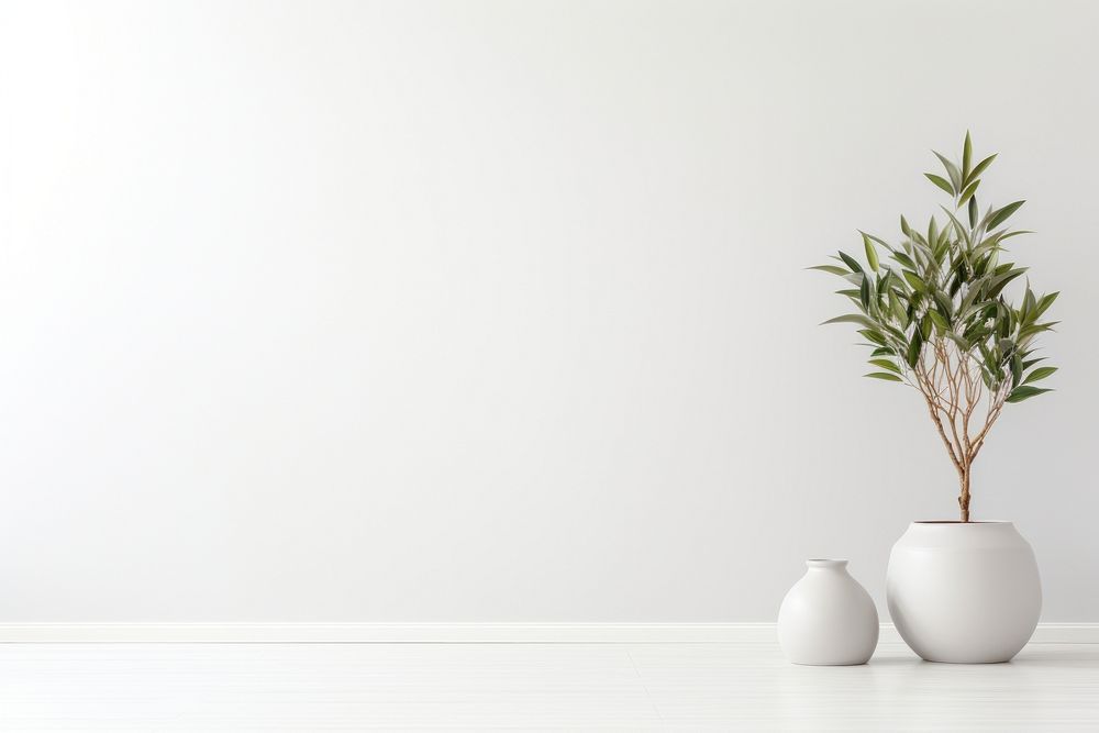 Interior design plant white vase.