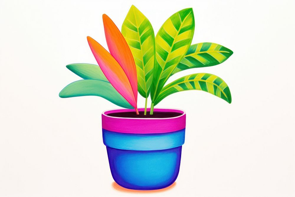 Plant pot leaf creativity houseplant.