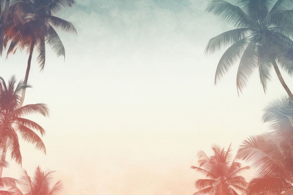 Vintage frame of palm tree backgrounds outdoors nature.