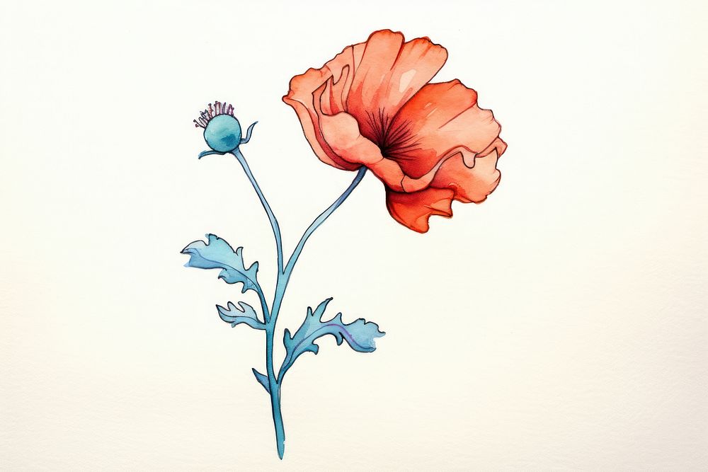 Watercolor flower sketch art drawing.