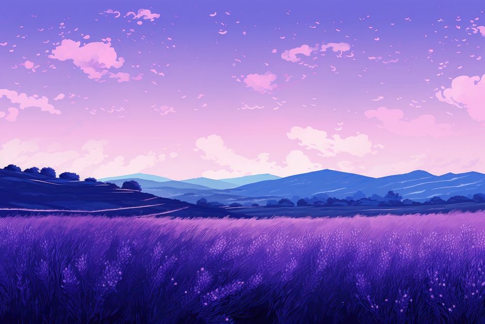 PNG Lavender field purple landscape outdoors.