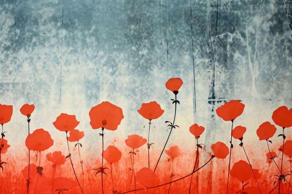 Flowers backgrounds painting poppy.