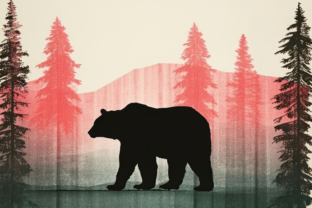 Bear silhouette wildlife outdoors.