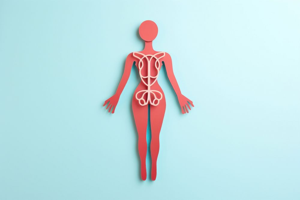 Medical back anatomy cartoon.